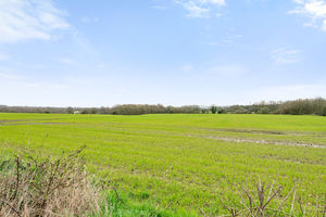 Photo 17- click for photo gallery